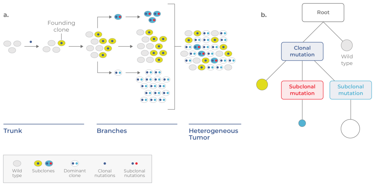 Clonal Evolution In Cancer Learning Center Mission Bio