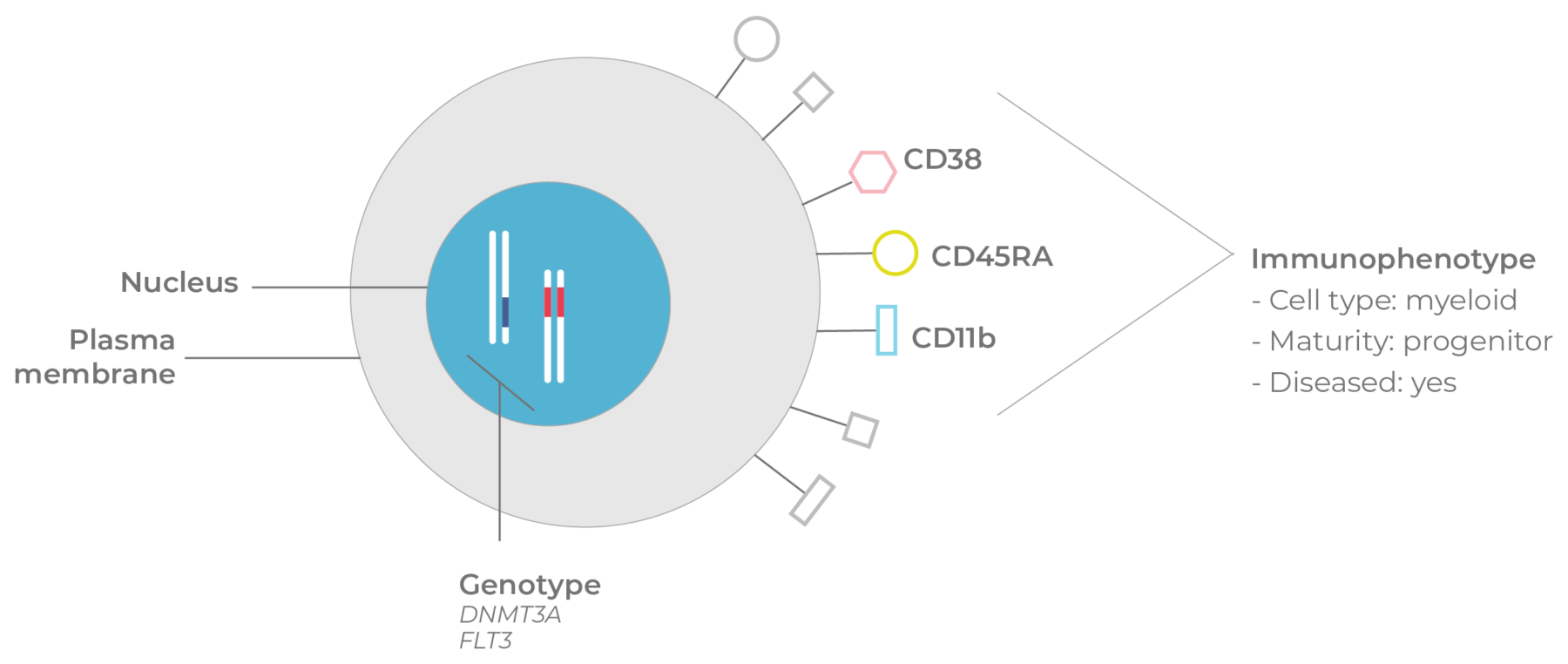 Single Cell Multi Omics In Oncology Mission Bio