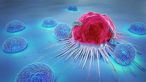 Precise Measurement of Viral Copy Number at Single-Cell Resolution for Cell and Gene Therapy Development