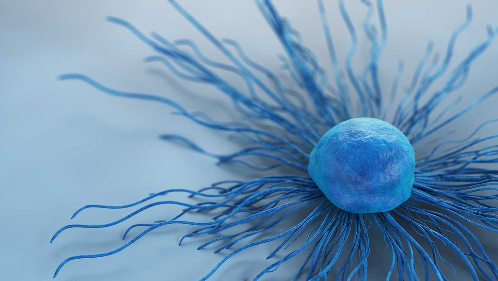 Tapestri Single-cell DNA Panels