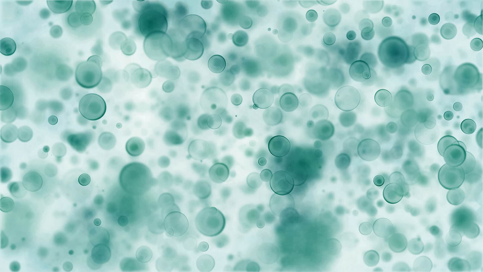 Molecular mechanisms mediating relapse following ivosidenib monotherapy in IDH1-mutant relapsed or refractory AML