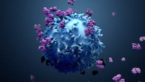 Tracing blood stem cell clones with somatic epimutations