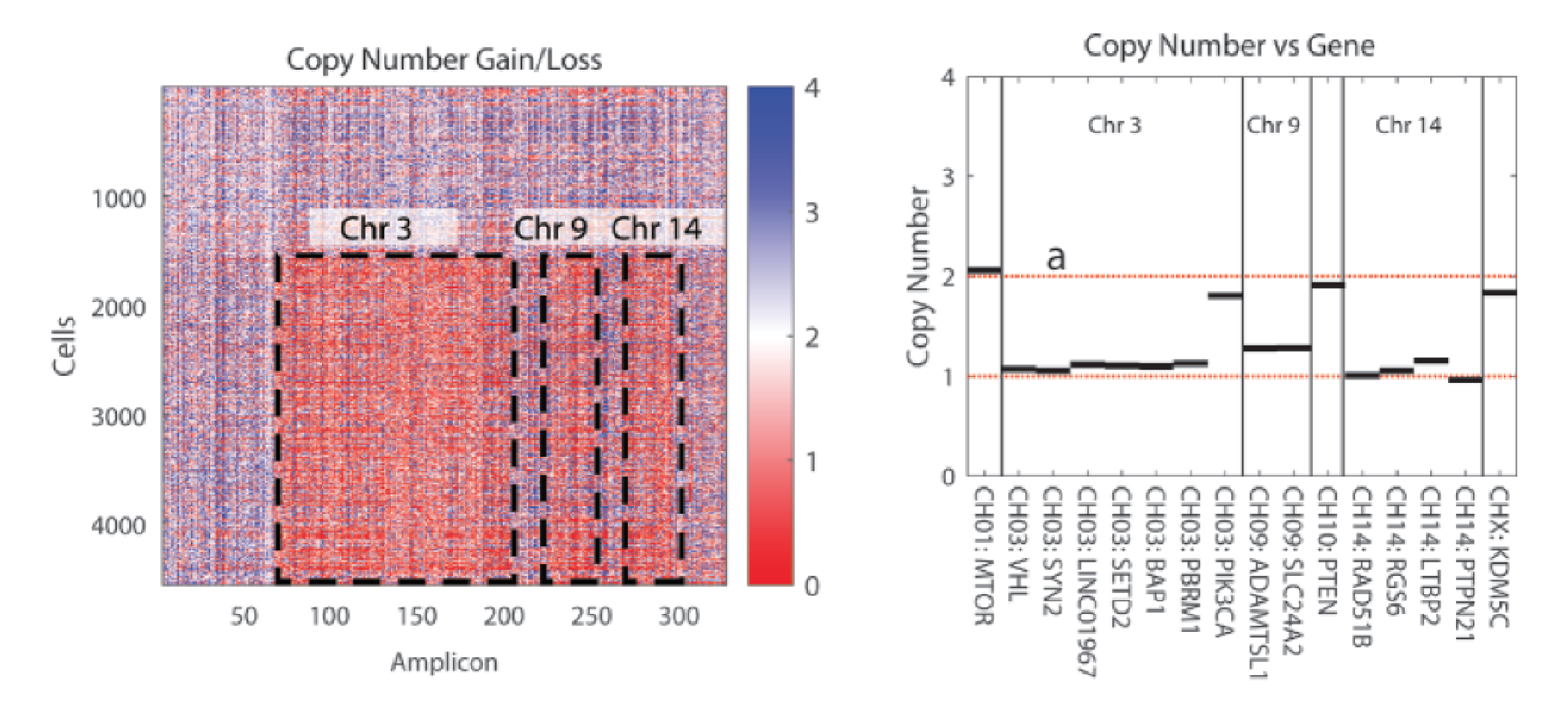 Measure gene and chromosome-level CNVs along with SNVs/indels and protein expression