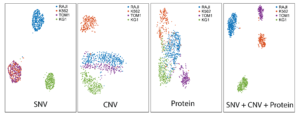 t-SNE projections of single-cell DNA + protein data showing clustering of four cell lines
