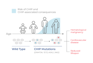graphic of clonal hematopoiesis, age, and risk factors
