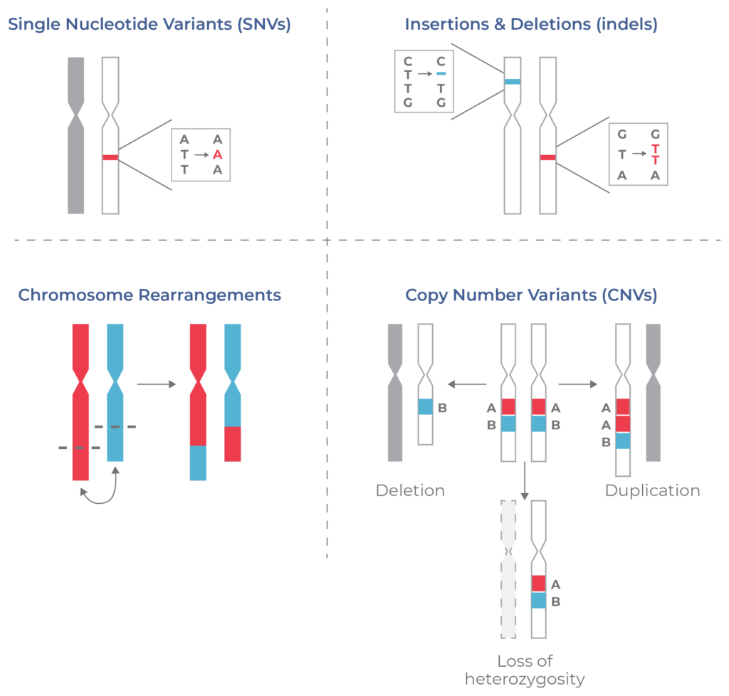 Clonal Evolution in Cancer | Learning Center | Mission Bio