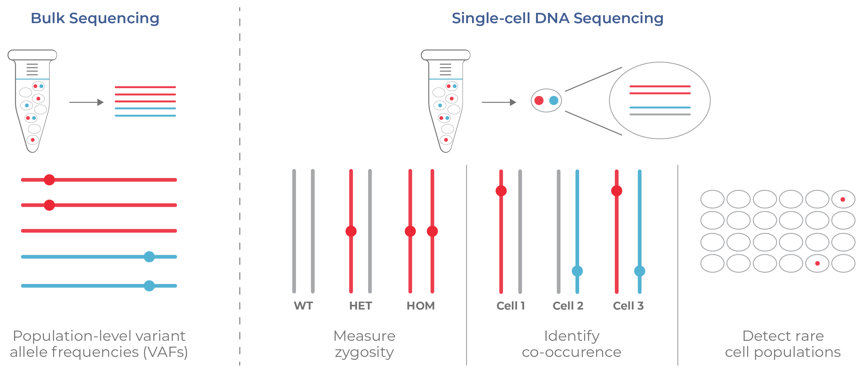 Figure 5. Information from bulk sequencing vs. single-cell DNA sequencing.