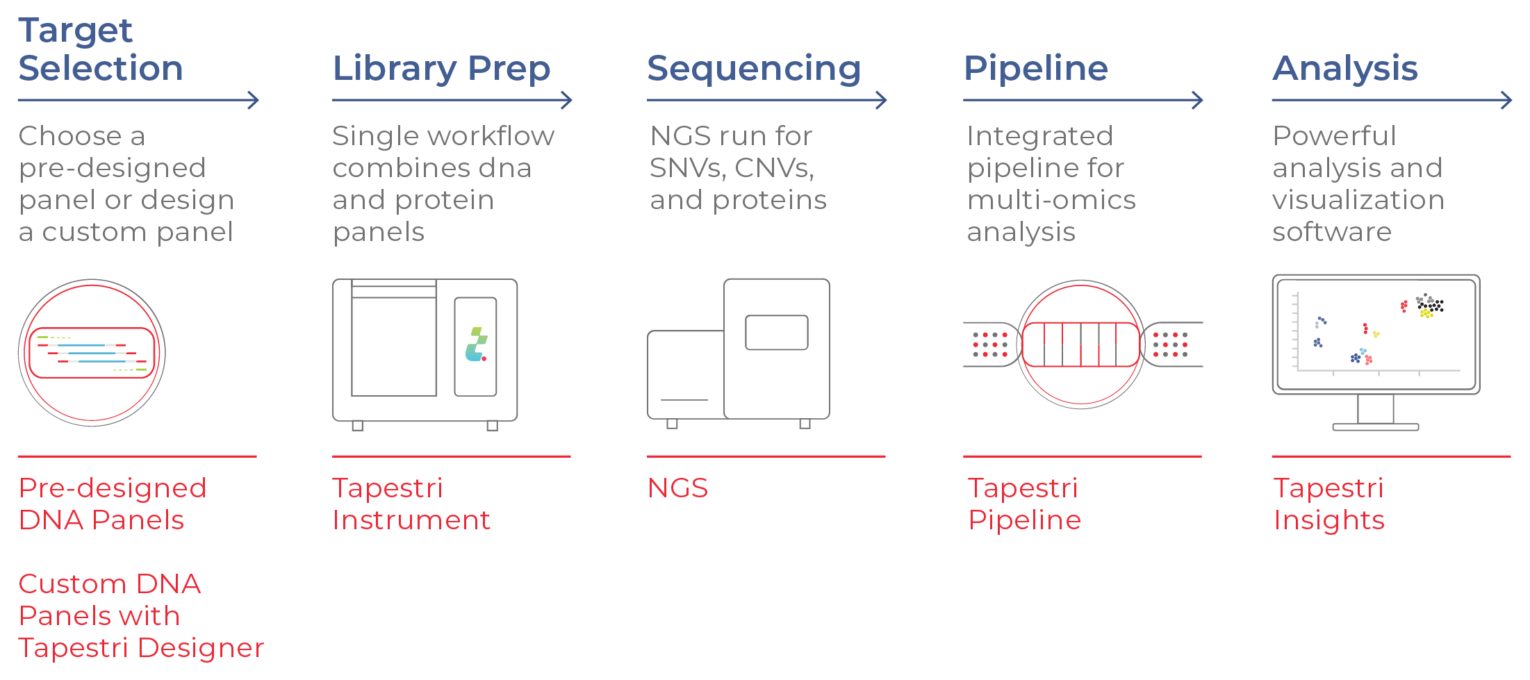 Figure 8. Single-cell DNA + protein multi-omics workflow.