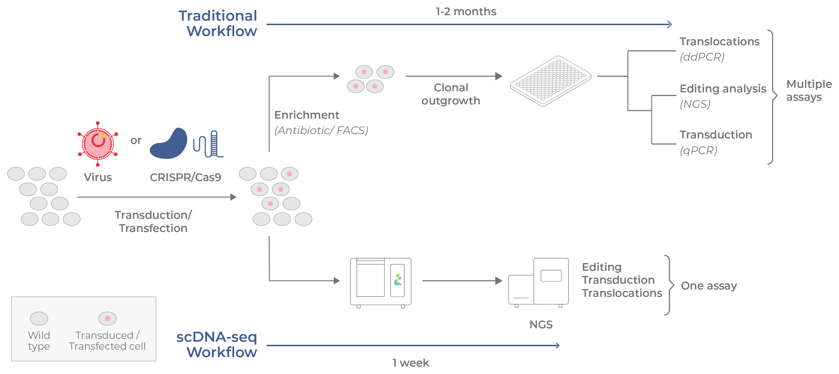 Figure 17. Conventional vs single-cell analysis on Tapestri used for cell and gene therapies.