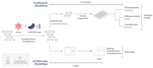 scDNA-seq of CGTs is needed in order to assess variation in transduction efficiency, on- and off-target editing, and translocation events. a. In the conventional workflow, transduced /transfected cells are enriched and clonally outgrown for several weeks. Assays that assess translocations and genome alterations are conducted separately. b. With scDNA-seq using Tapestri, all analyses are combined in a single assay that can be completed in 1 week.